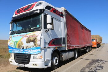 ВИС - Казталов - сено (3)