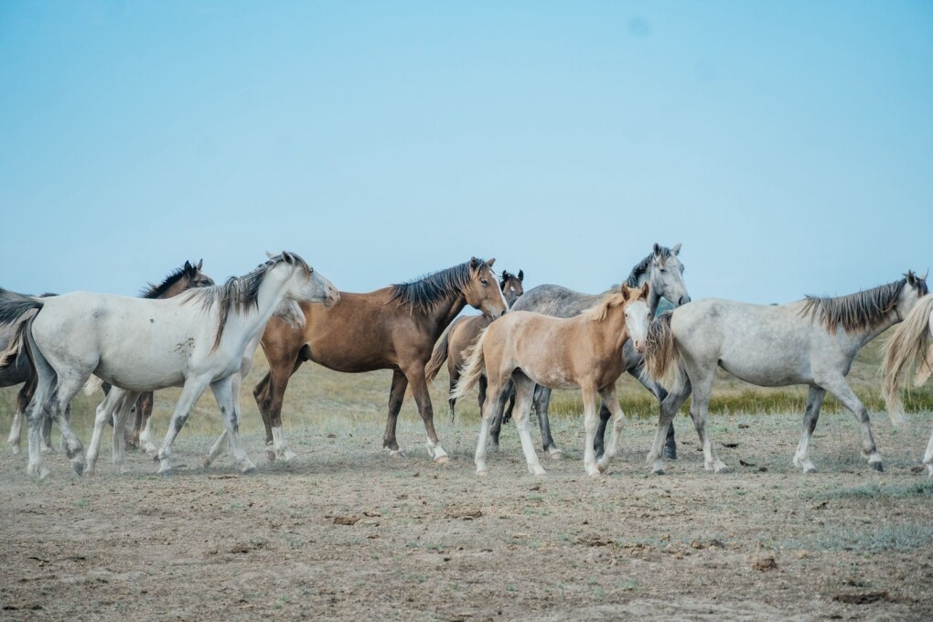 WhatsApp Image 2025-09-10 at 13.16.33 (1)