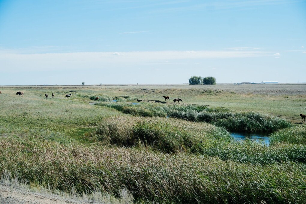 WhatsApp Image 2025-09-10 at 13.16.33 (2)