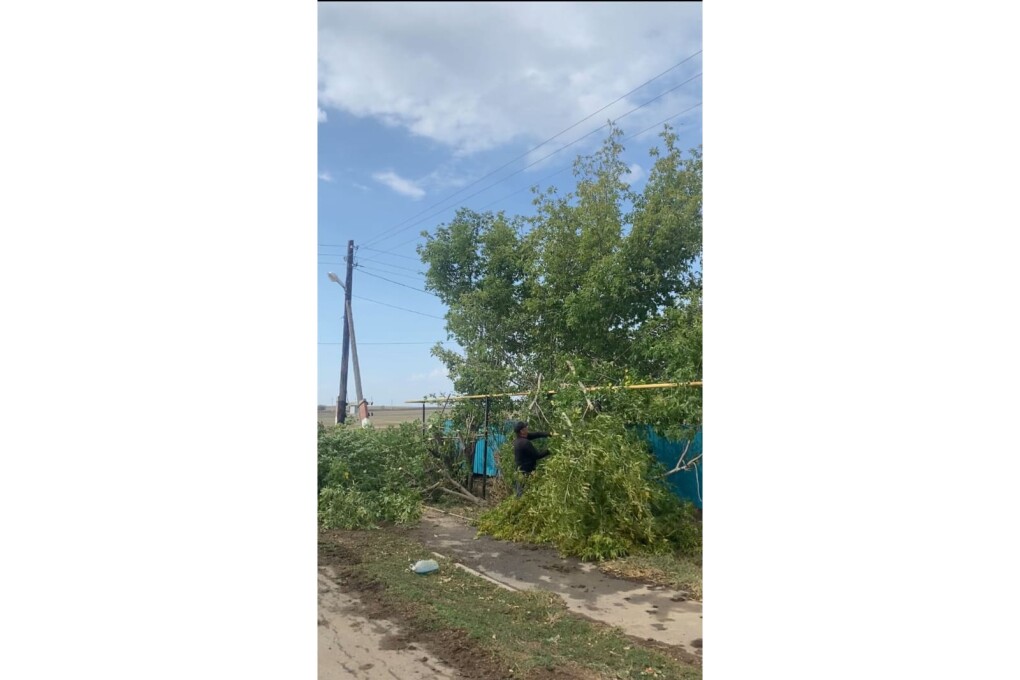 WhatsApp Image 2025-09-11 at 18.49.23