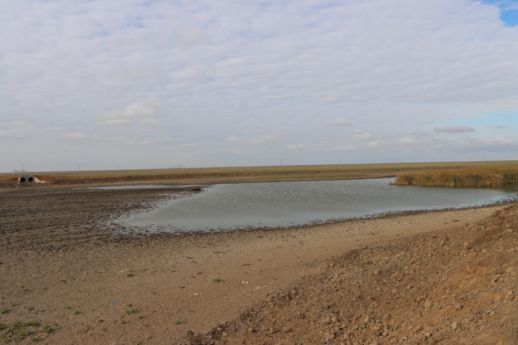 WhatsApp Image 2025-09-12 at 13.23.19 (1)