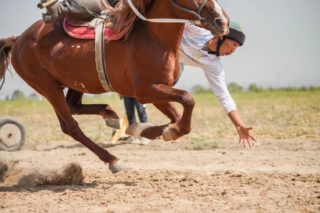 WhatsApp Image 2025-09-15 at 14.51.27 (3)