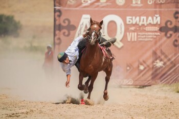 WhatsApp Image 2025-09-15 at 15.25.46