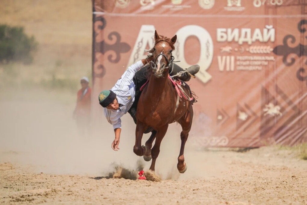 WhatsApp Image 2025-09-15 at 15.25.46