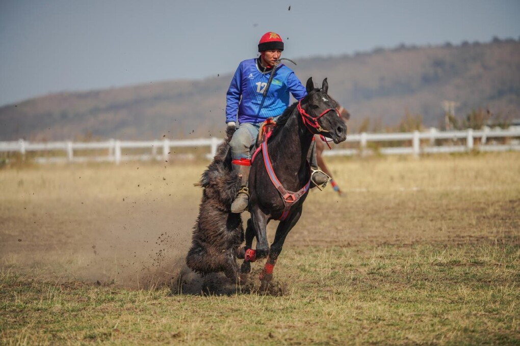 a2d7ebe0-d6db-4db0-a3b8-95c7332b8e7d