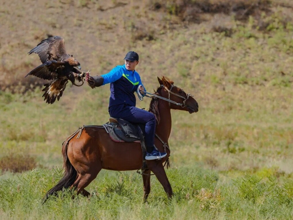 a65a935f-1a21-412b-9226-63dcfac861e9