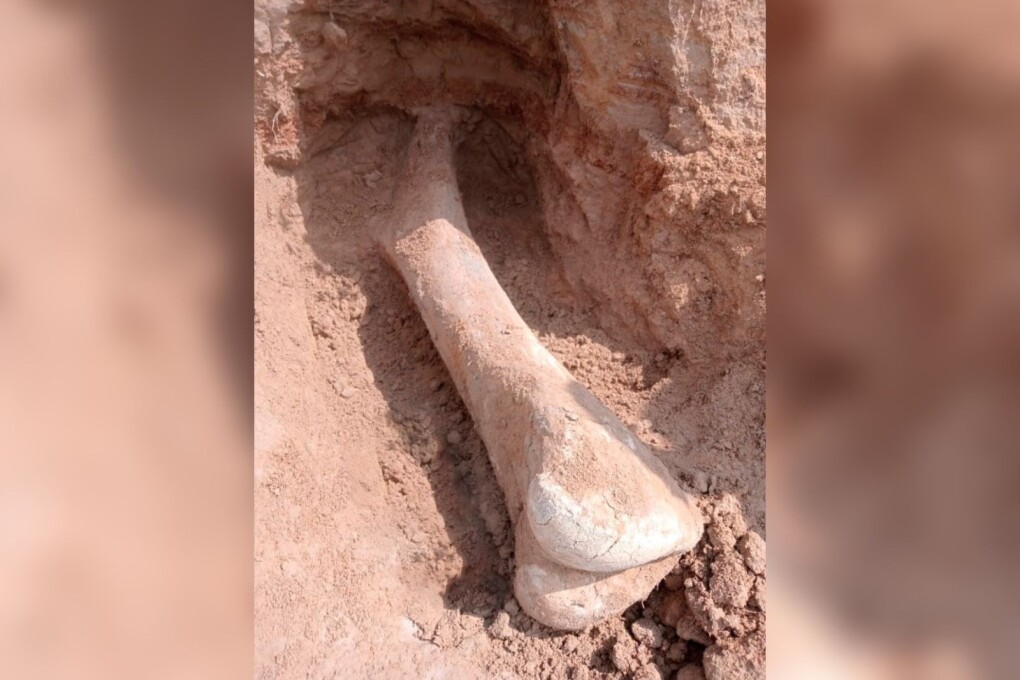 af985491-b537-4d62-a338-84a08022ef80