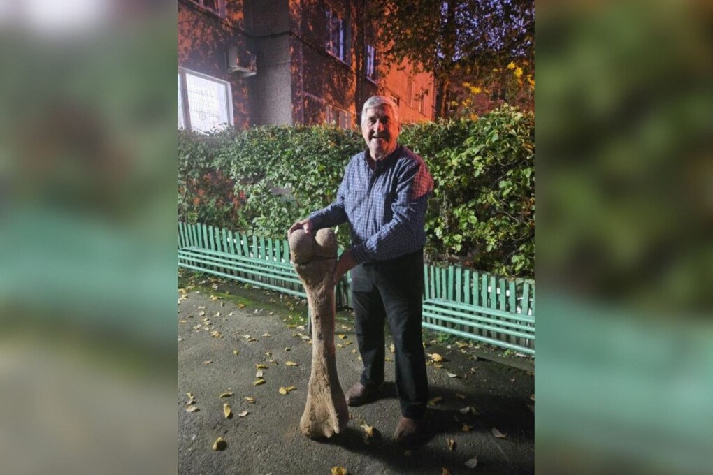 f32452ea-ea06-4754-b84b-6d889095ceab