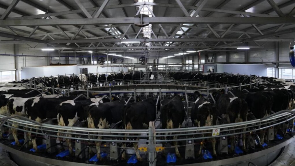 _gluster_2025_9_13_c88542013104fa2fa55f392728f58f12_1280x720