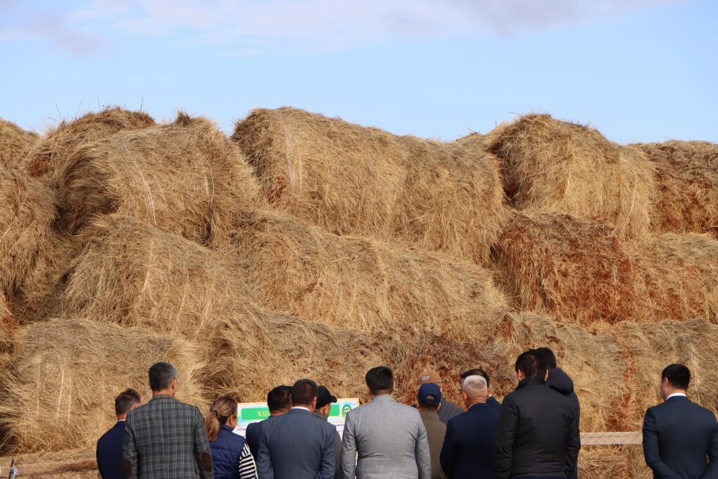 image-12-09-25-11-17-1