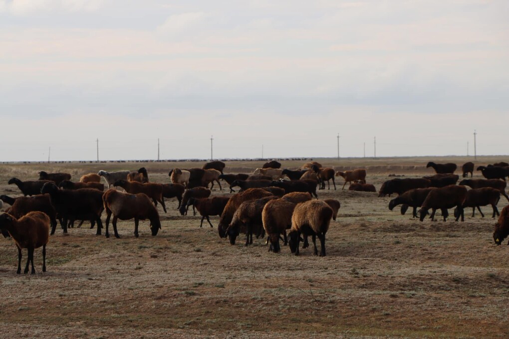 image-12-09-25-11-17-2 (1)