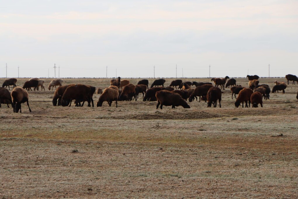 image-12-09-25-11-17