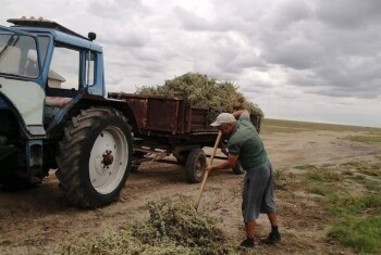 image-24-09-25-02-41-2