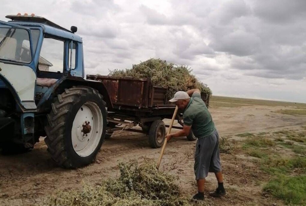 image-24-09-25-02-41-2