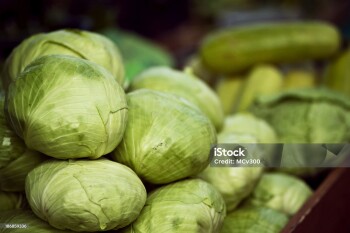 cabbage at the market