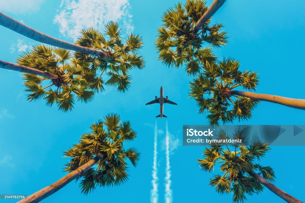 istockphoto-2149783756-2048x2048