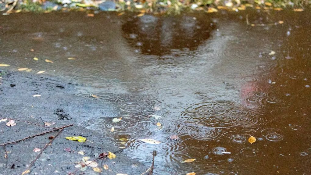 погода — копия 1