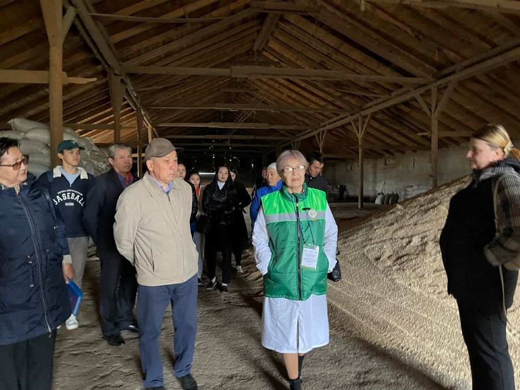 шектыбаева 11