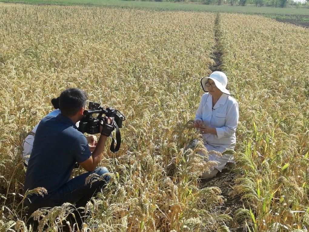 шектыбаева 22