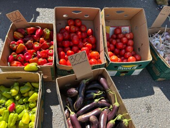 ЖП ярмарка - сельхо