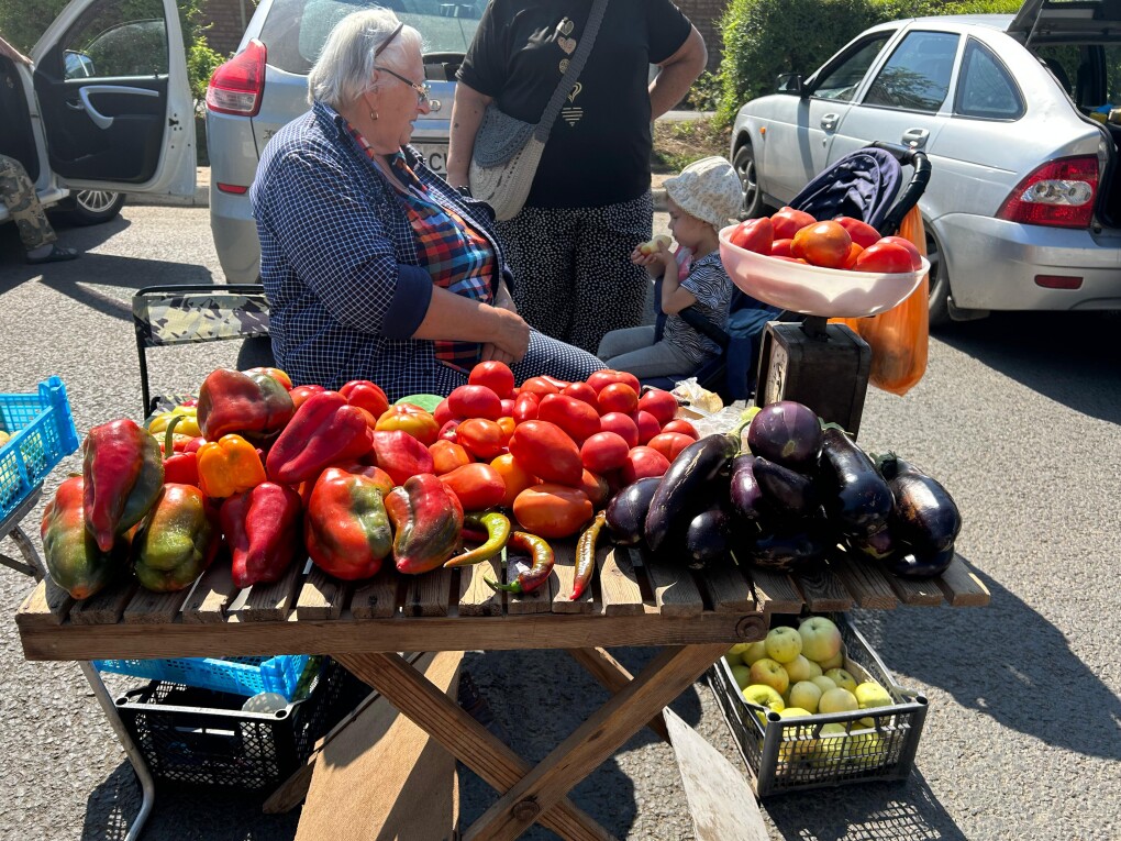 ярмарка - сельхоз (39)