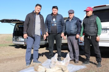 086e035f-9037-4d6b-afae-3f9c5298926d