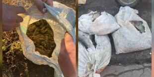 Сотрудники полиции изъяли рыбу и раков, добытых незаконным путем в ЗКО