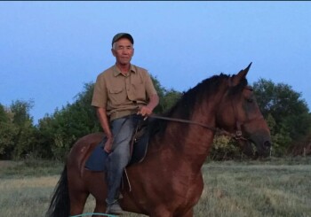 2d9a5f41-9eeb-4325-91e9-ab5641557052