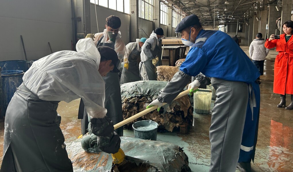 2fbd2cfe-cb29-43bc-a8db-f21201b7bd04