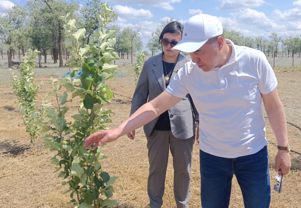 514464669_2974805799367961_6825654159793299414_n