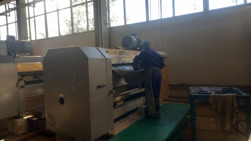 557637817_2263292244146032_3646217403697449322_n