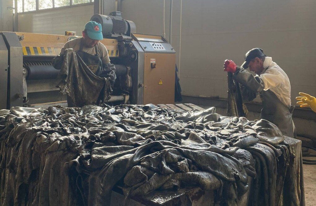 557638834_2263292457479344_9120936615903227037_n