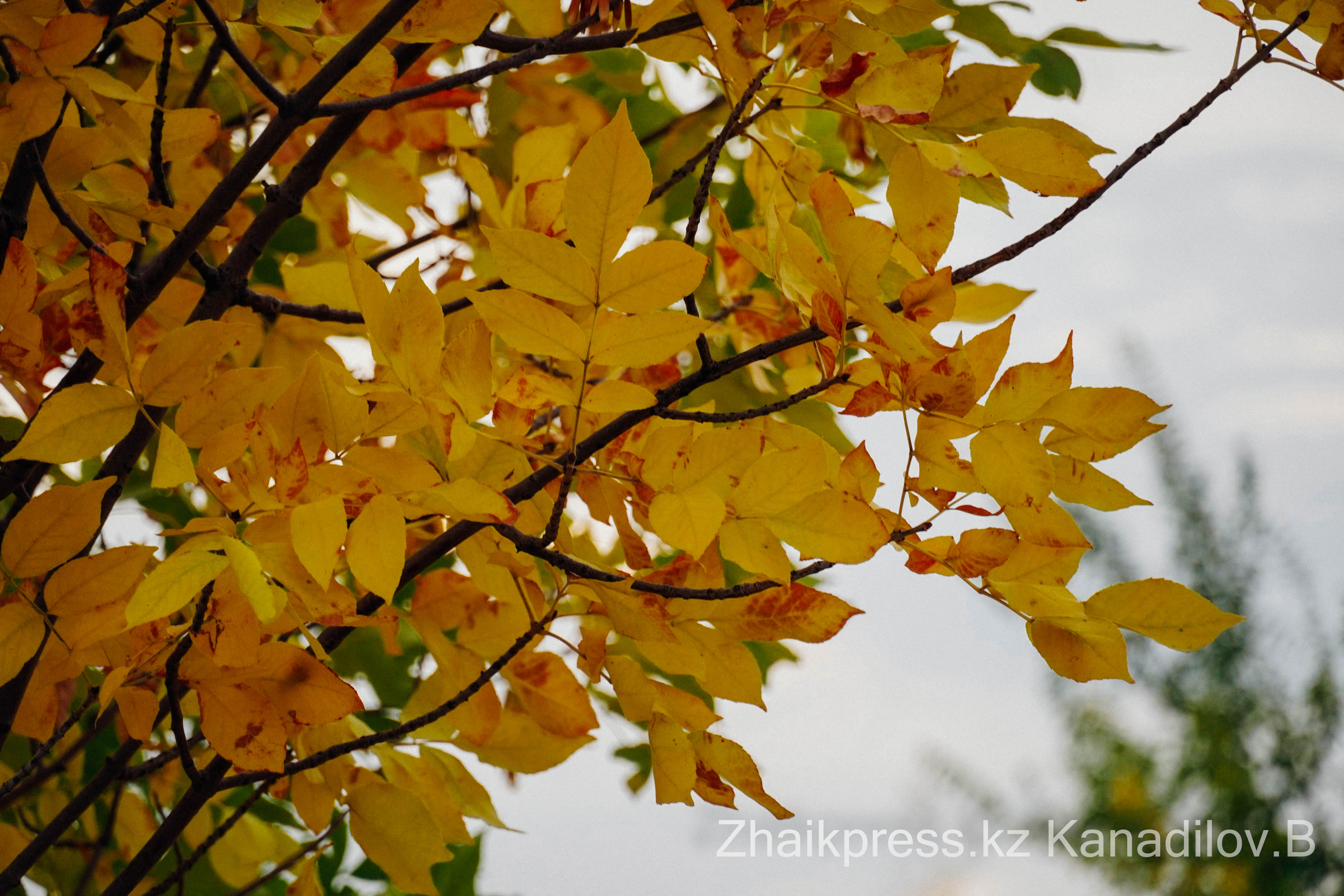 Жалаңаш үйлердің жақыннан түсірілген суреттері