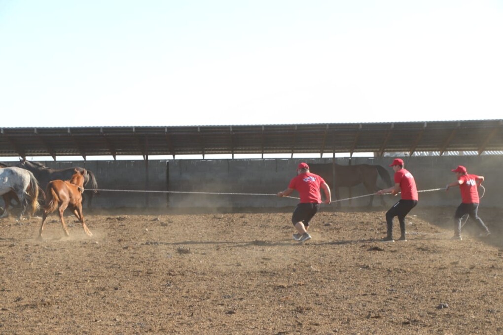 Ауыл лайф (1)