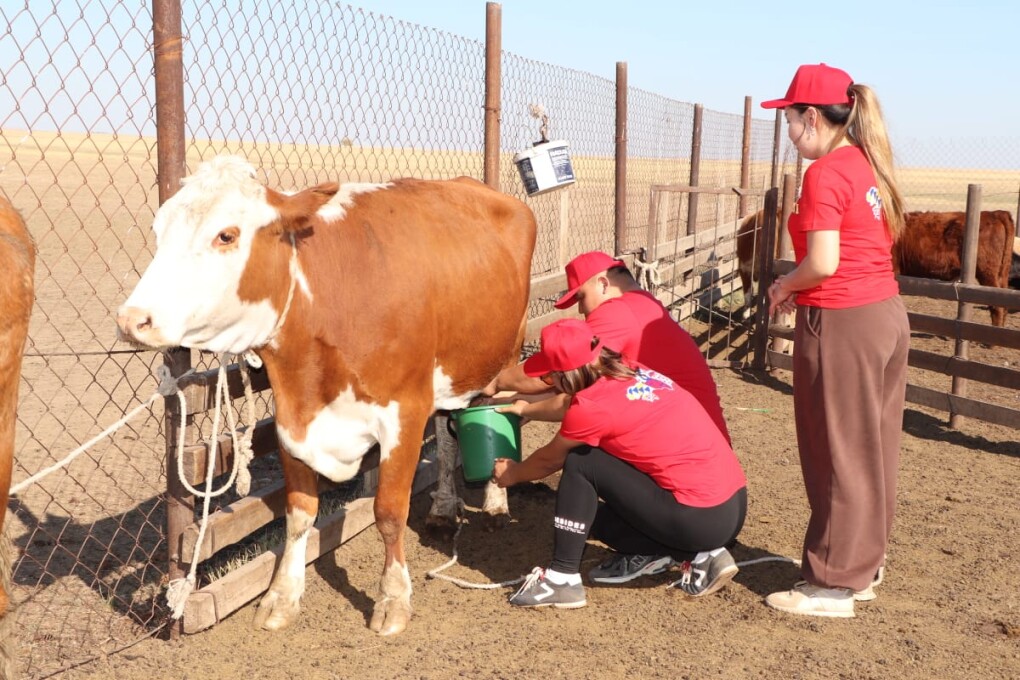 Ауыл лайф (4)