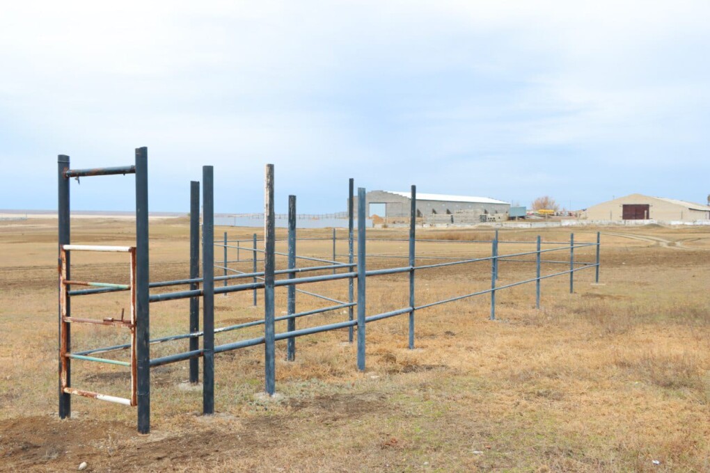 IMG-20251022-WA0004 (1)