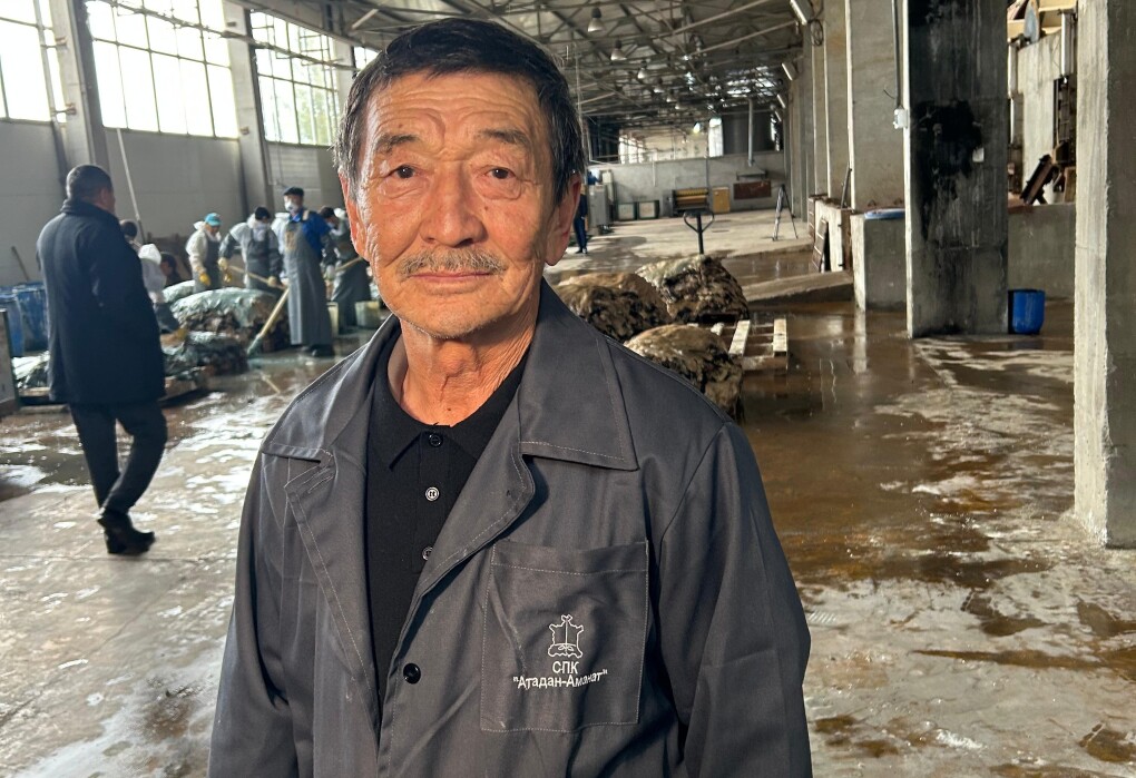 Нәсіпқали ЖЫЛҚАЙДАРо,вбас технолог