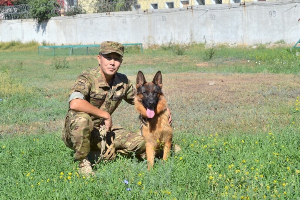 СО - кинологи (5)