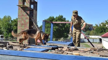 СО - кинологи (6)