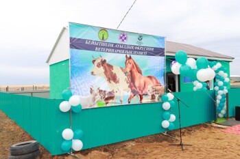 ВЕТпункт - бейбитшилик (1)