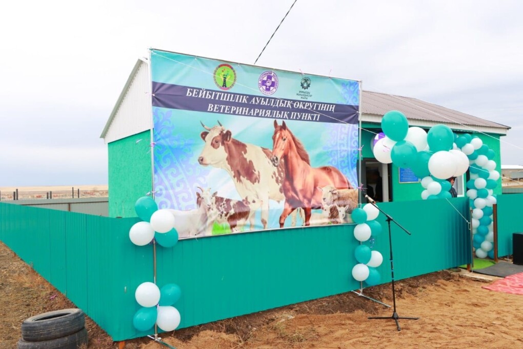 ВЕТпункт - бейбитшилик (1)