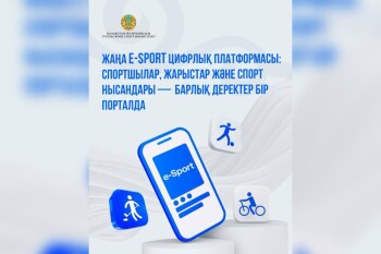 WhatsApp Image 2025-10-03 at 12.26.26