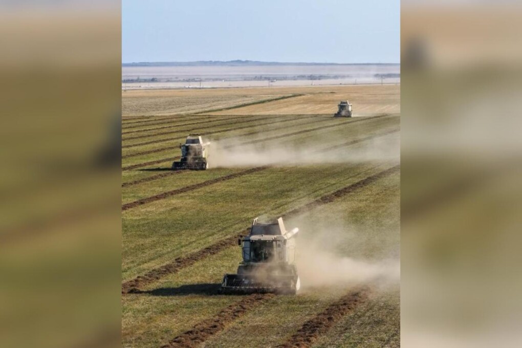 WhatsApp Image 2025-10-09 at 10.21.32