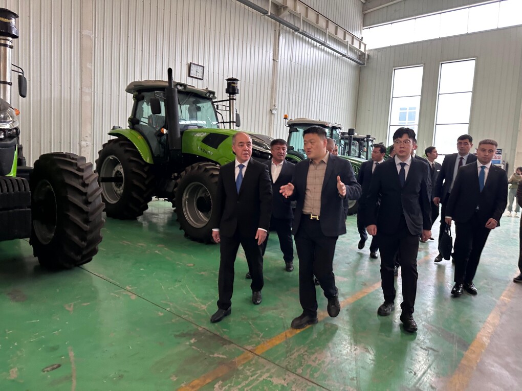 WhatsApp Image 2025-10-09 at 15.58.01 (1)