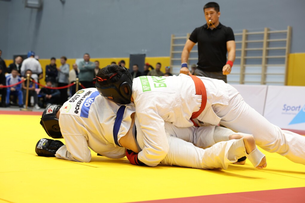 WhatsApp Image 2025-10-15 at 17.50.24