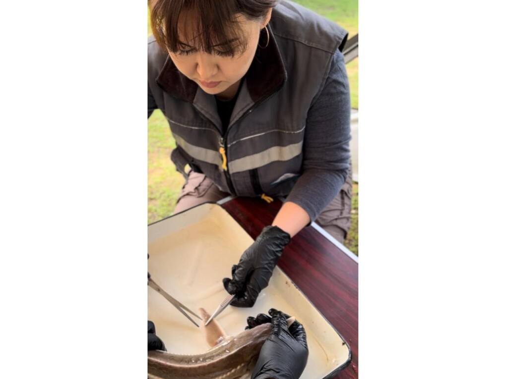 WhatsApp Image 2025-10-23 at 13.44.40