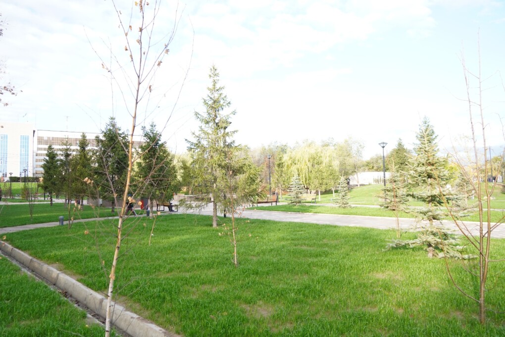 WhatsApp Image 2025-10-23 at 17.12.39