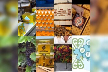 WhatsApp Image 2025-10-24 at 11.40.20