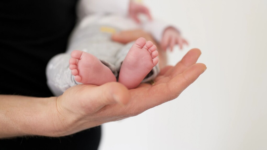 b9fb96ca-e0e0-4e4d-8463-a15dead51099