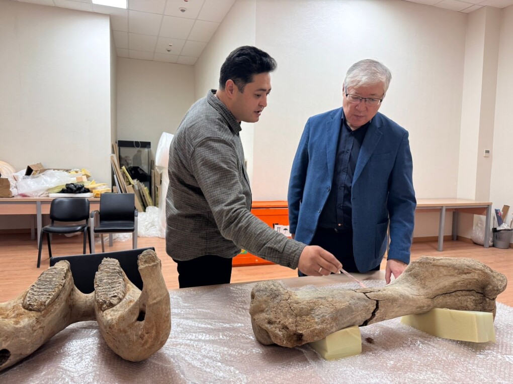 e3dbf60f-460c-4e60-a8d2-fbb80b4fac25